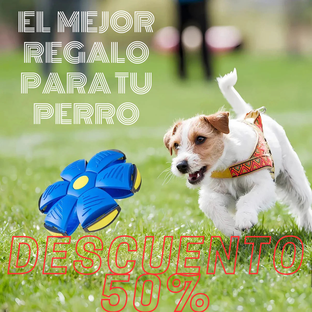 Pelota Voladora Con Luces Mascotas - PetBall™